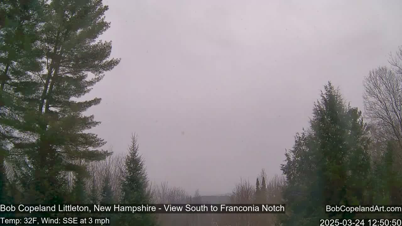 A lightly snowing landscape is viewed from between evergreen trees, showing a distant, hazy horizon.