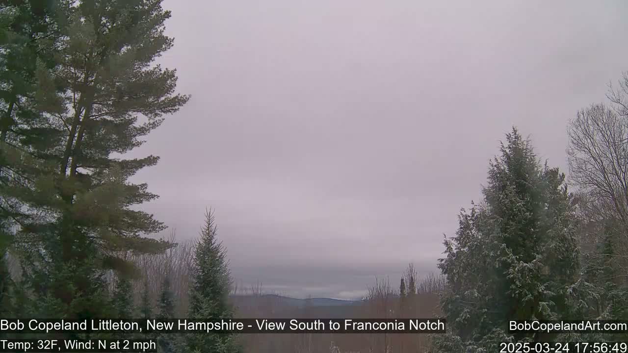 A hazy, overcast view of a snow-dusted landscape shows evergreens in the foreground and a distant mountain range under a gray sky.