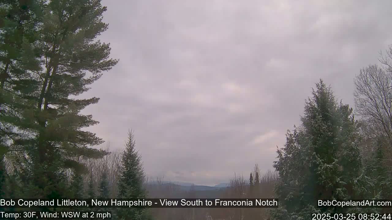 A slightly overcast, snowy landscape is visible from between evergreens, with distant mountains in the background.