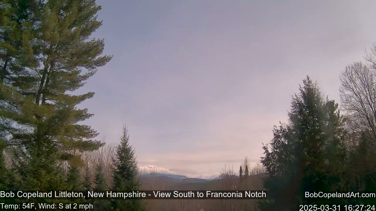 A view of snow-capped mountains in the distance through a stand of evergreens under a pale, clear sky with a gentle south wind.