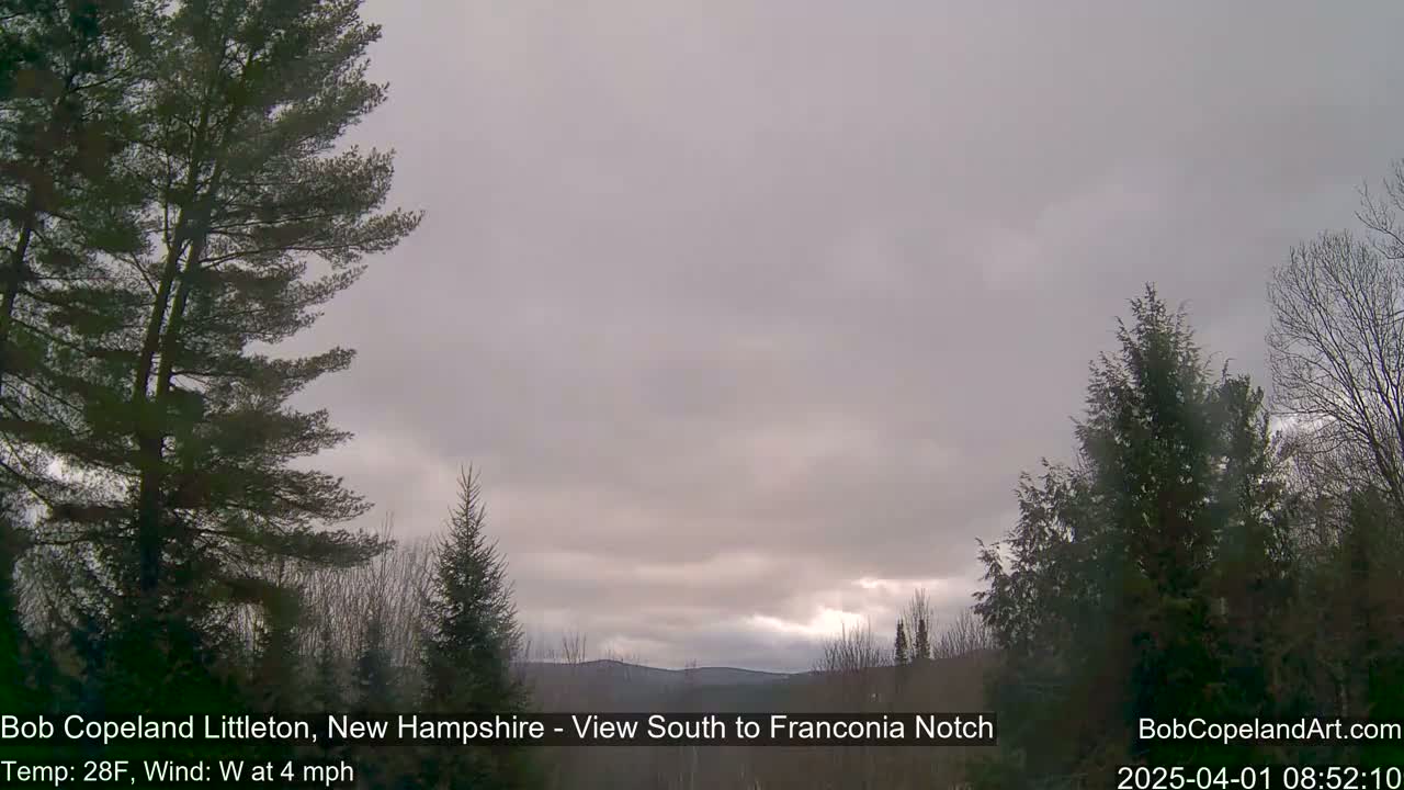 A view of a cloudy, overcast sky over a landscape of dark green evergreen trees.