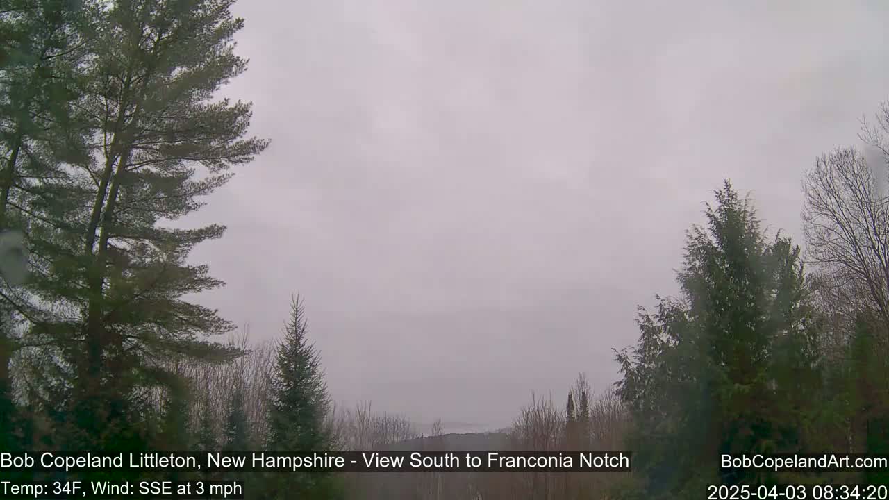 A view of a hazy, overcast landscape featuring evergreen trees in the foreground and a distant, indistinct mountain range.