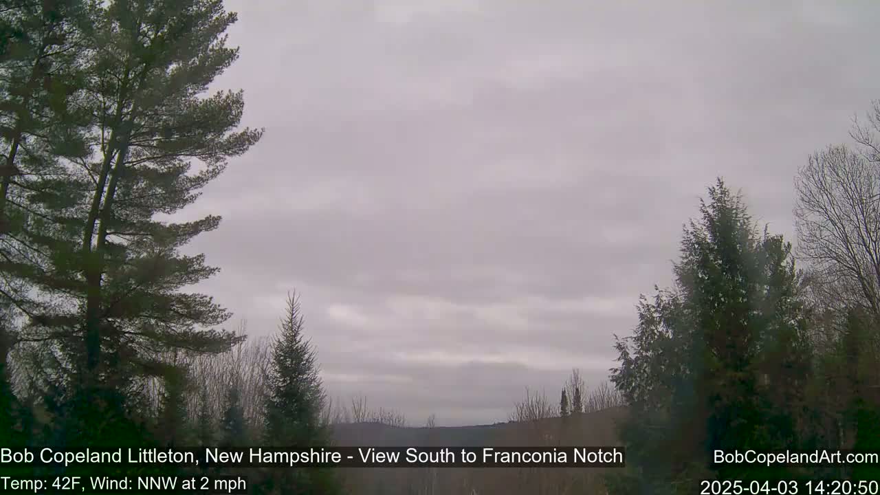 A mostly cloudy, overcast sky is visible over a landscape of evergreen and deciduous trees.