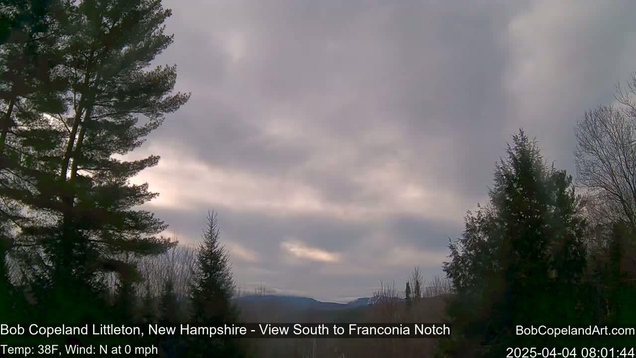A mostly cloudy sky with a hint of sunlight breaks through, behind silhouetted evergreens in a landscape.