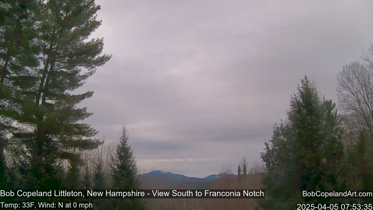 A view of distant, snow-capped mountains under an overcast sky, framed by evergreen trees.