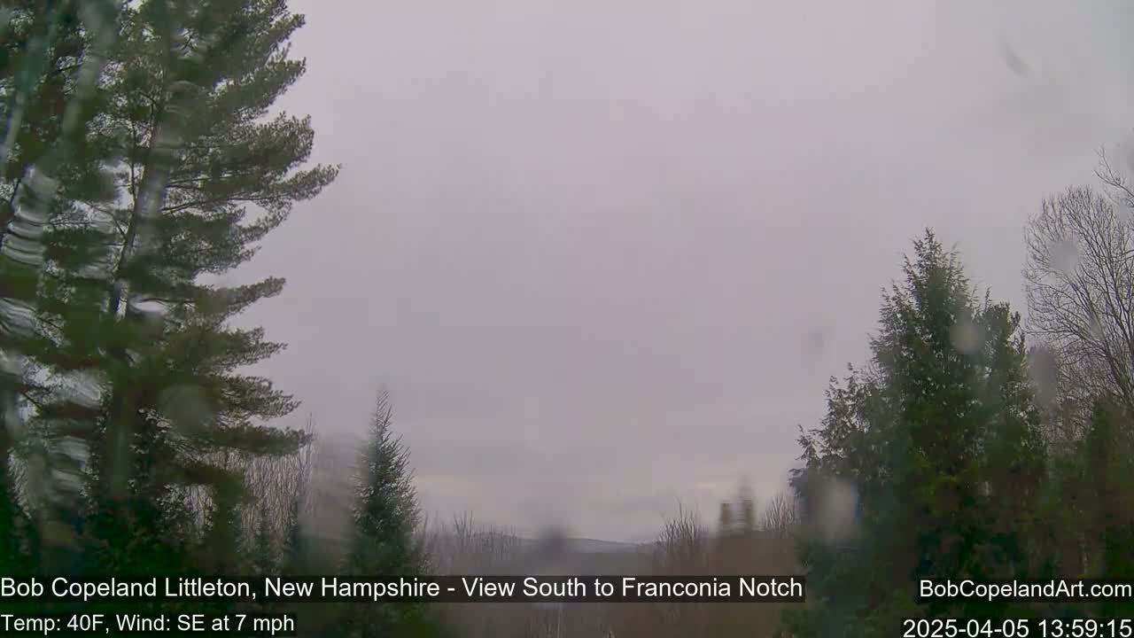 A view through rain-covered glass shows a gray, overcast sky over a landscape of evergreens.