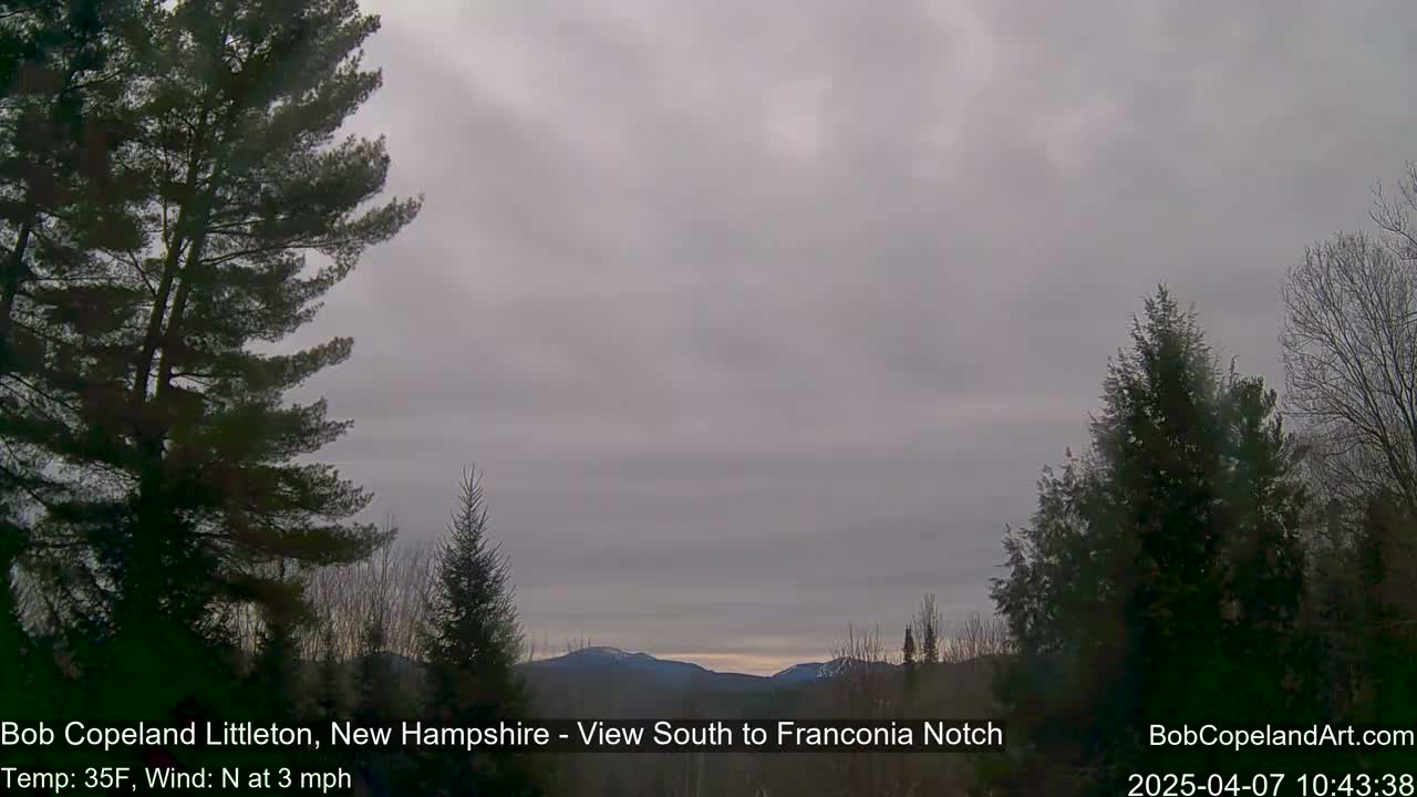 A view of distant mountains under a cloudy, overcast sky, framed by evergreen trees.