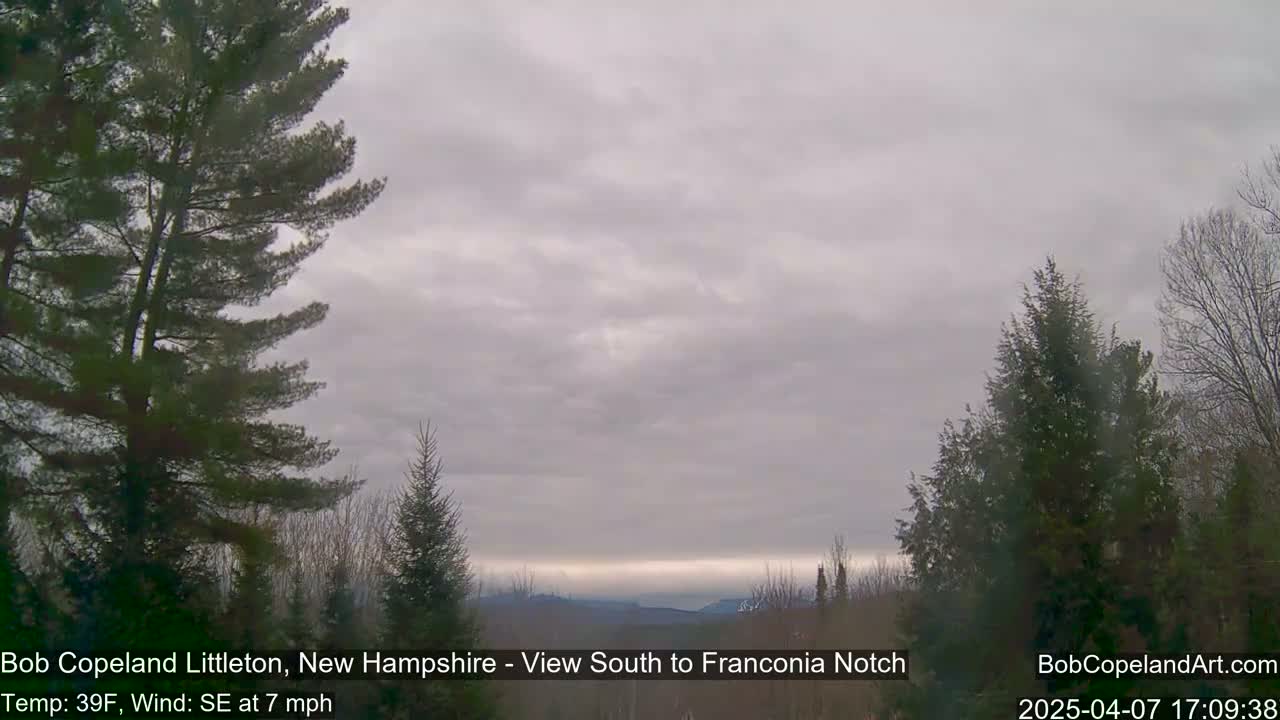 A view of distant, hazy mountains under an overcast sky is framed by evergreen trees.