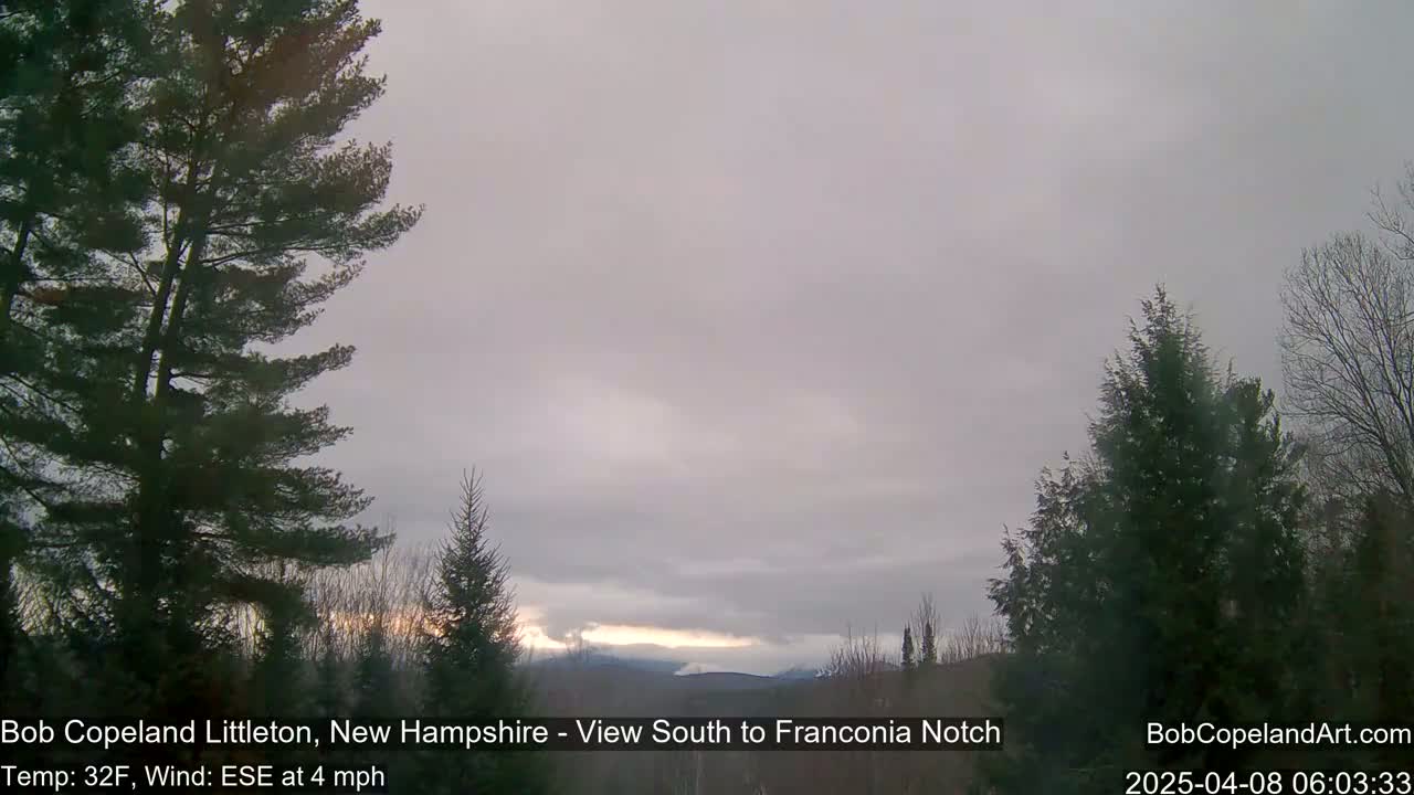 A mostly cloudy, pale sky over a distant mountain range, viewed from between evergreen trees in a cold, windy landscape.