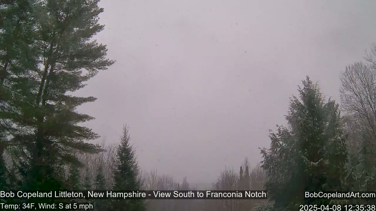 Lightly falling snow is visible over a landscape of evergreens and deciduous trees.