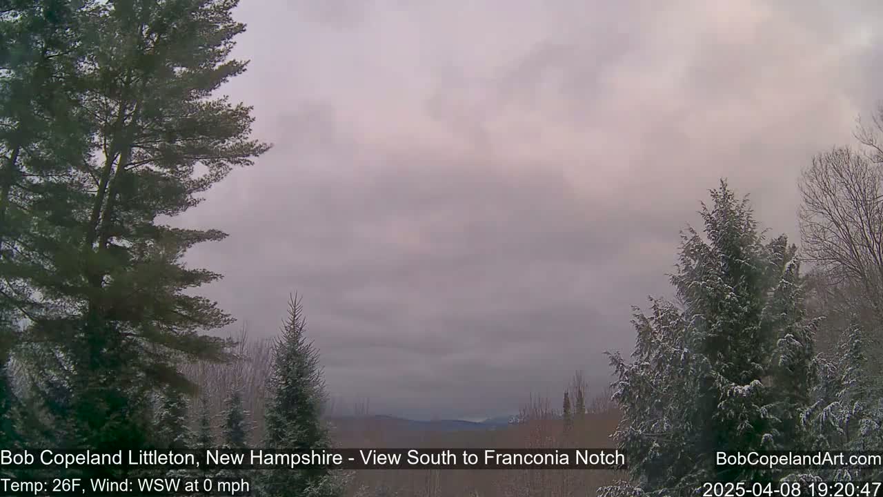 A lightly snow-covered, wooded landscape is viewed under an overcast sky.
