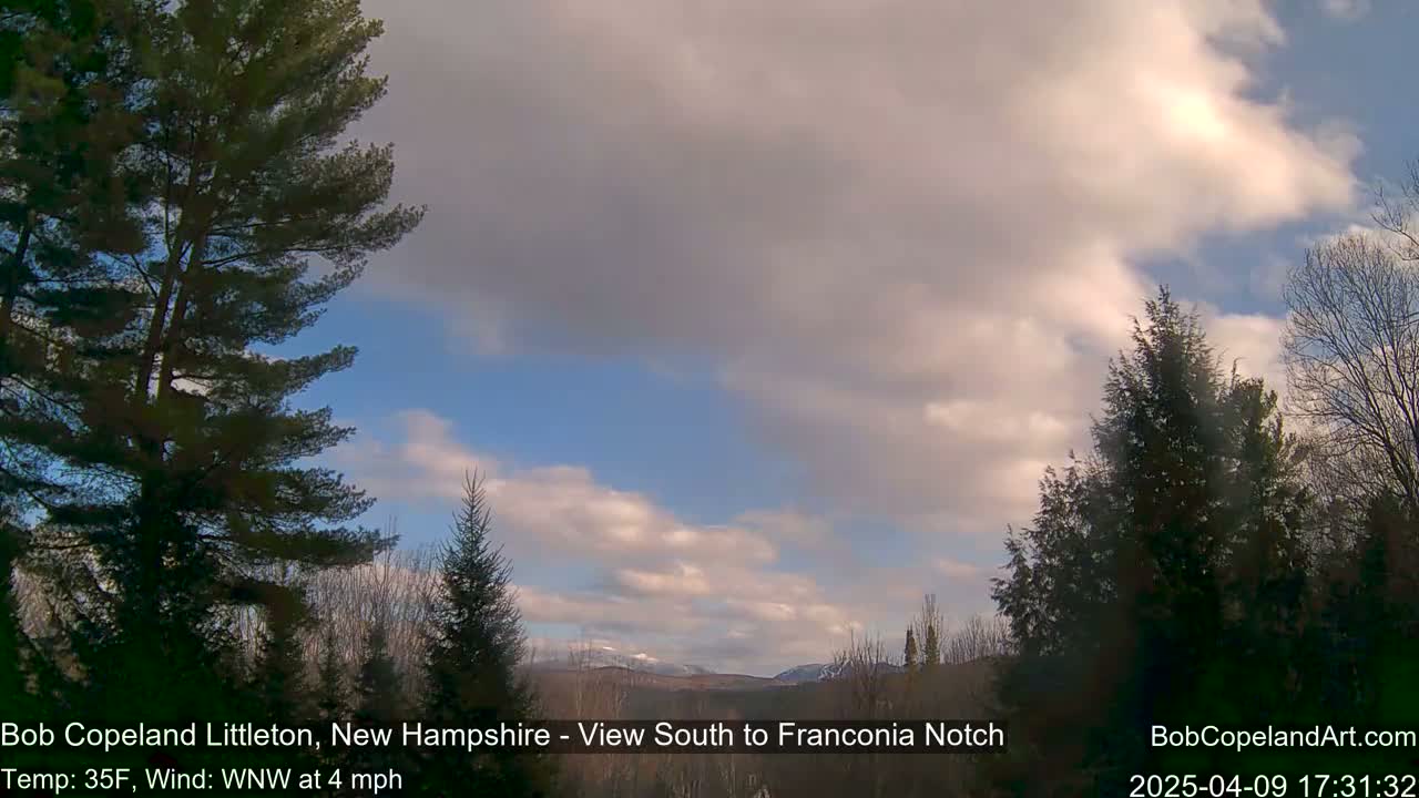 A partly cloudy sky with a light wind, showing distant snow-capped mountains viewed from a wooded area.
