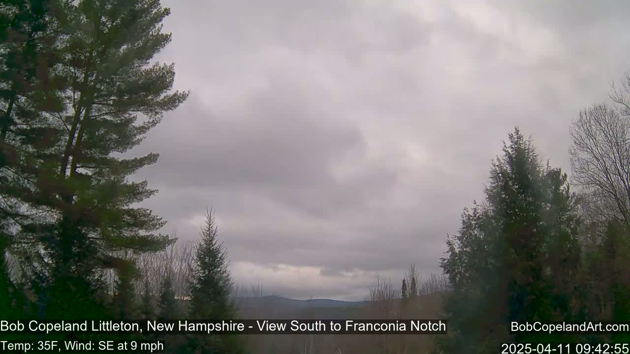 A view of distant mountains under an overcast sky, framed by evergreen trees in the foreground, with a slight southeast wind.