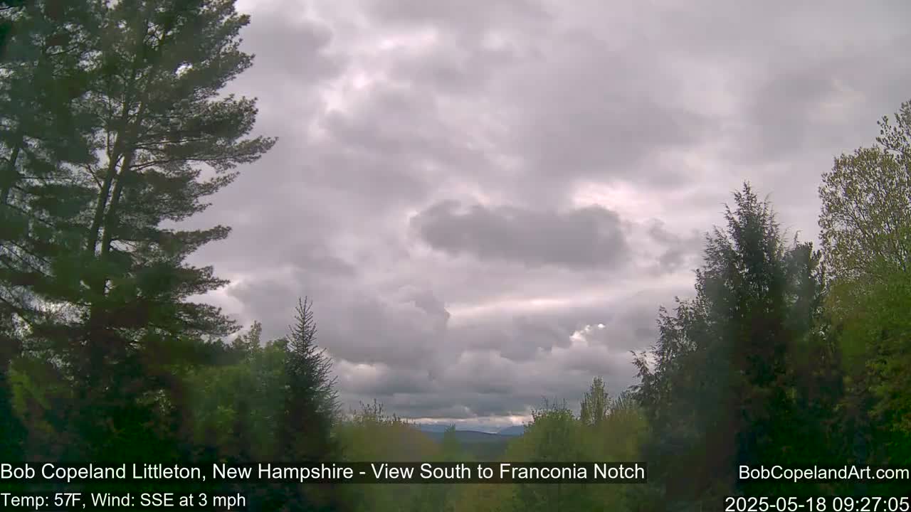 A view of overcast skies and a partly wooded landscape.