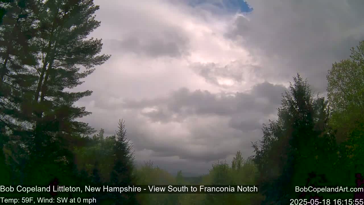 A mostly cloudy sky hangs over a landscape of evergreen and deciduous trees with a calm wind.
