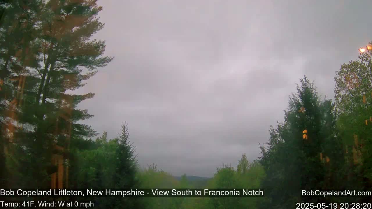 A view of a wooded area under an overcast sky.