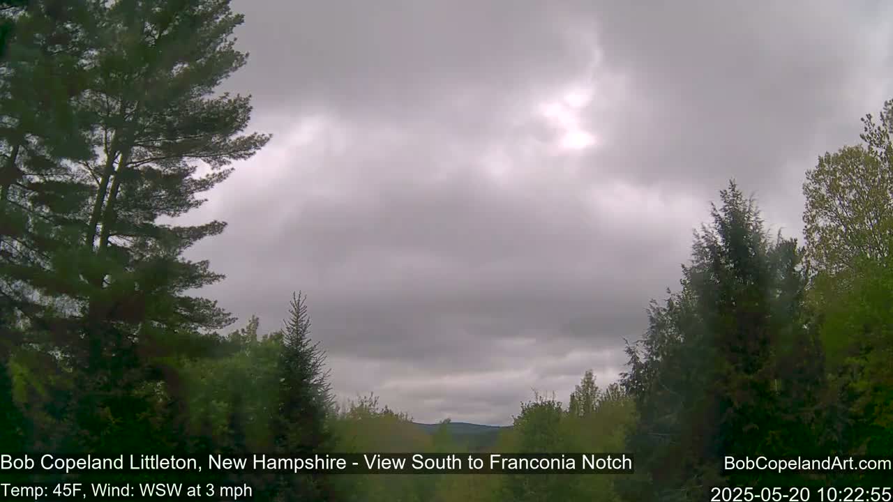 A view of a partly sunny, overcast sky over a landscape of green trees.