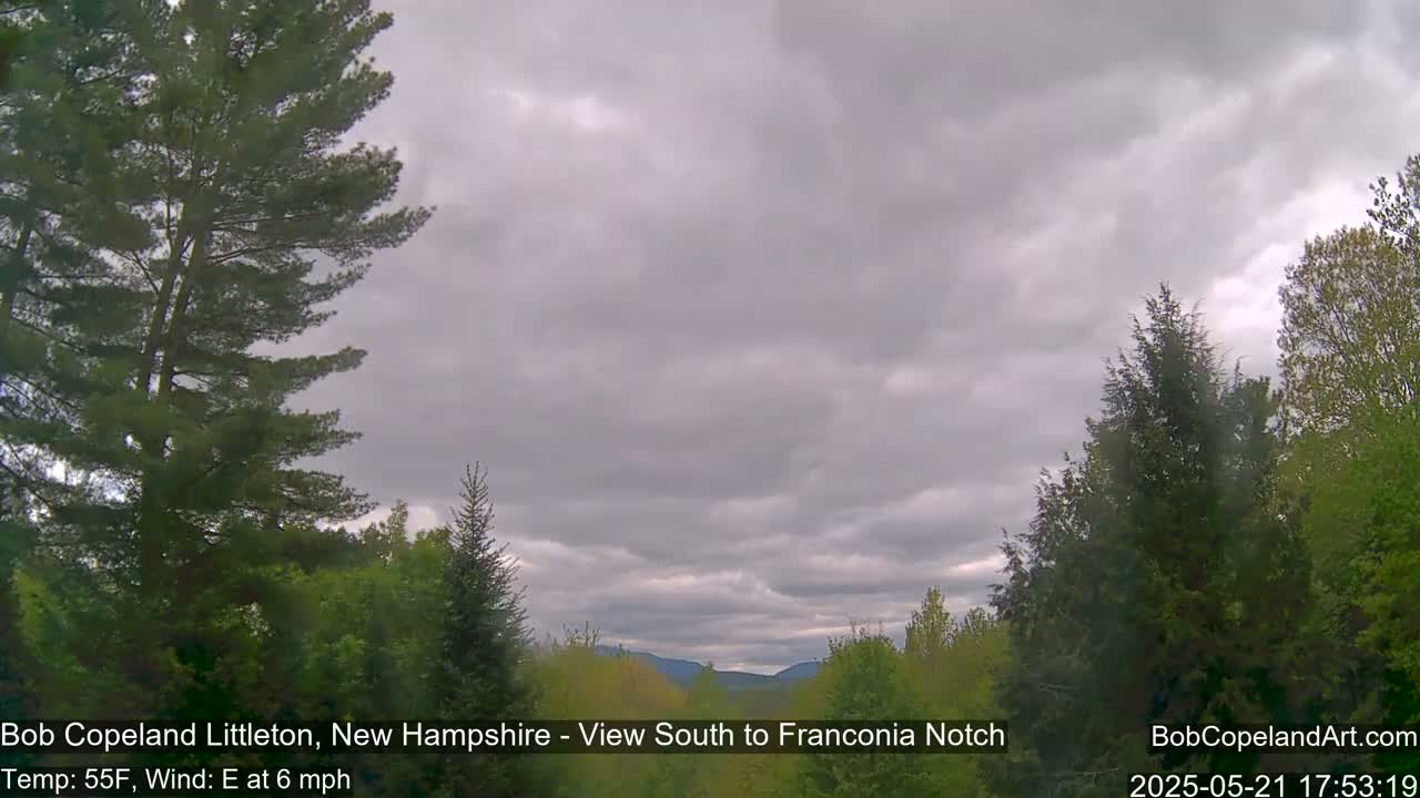 A view of a partly cloudy sky over a green forest with distant mountains in the background.