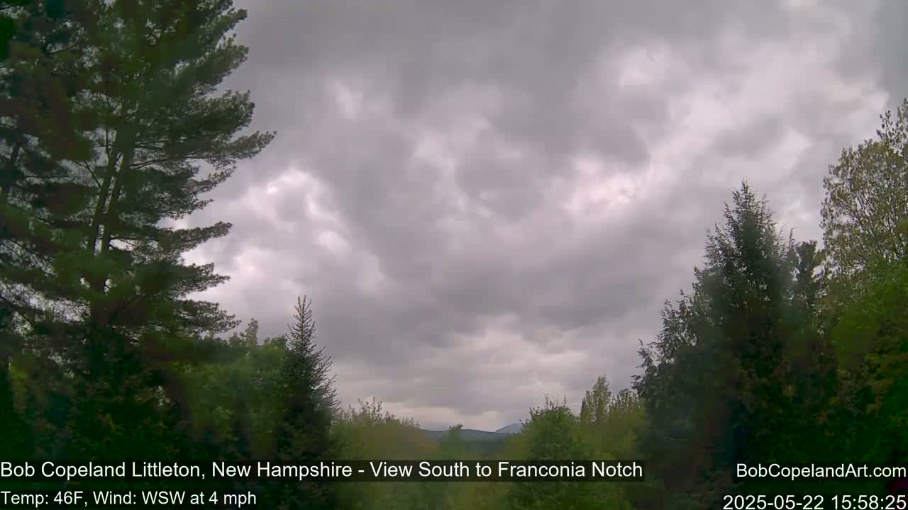 A view of distant mountains under a cloudy, overcast sky, framed by evergreen trees.