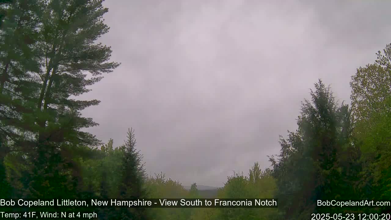 A view of a wooded area under an overcast sky, with a light north wind.