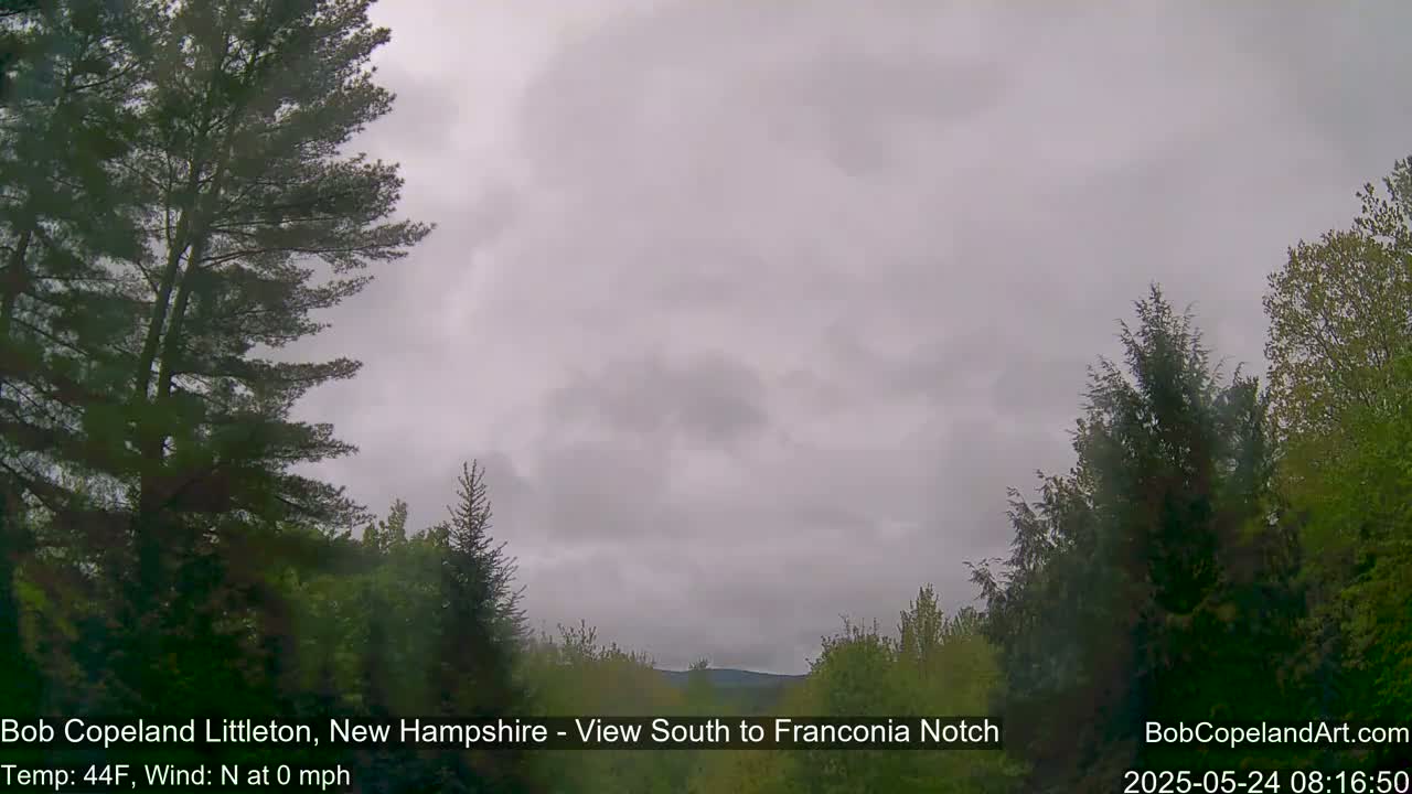 A view of a wooded area under an overcast sky.