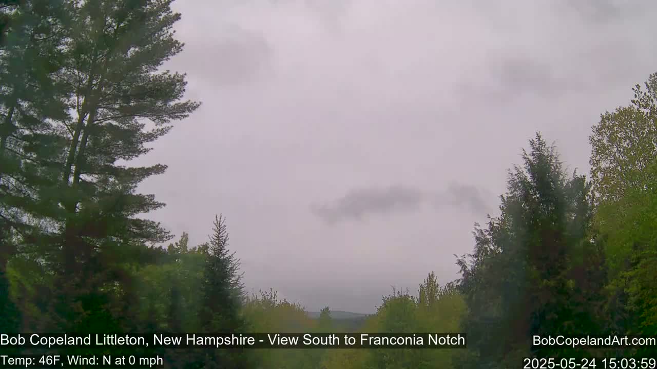 A view of a partly cloudy, overcast sky over a landscape of green trees and distant hills.