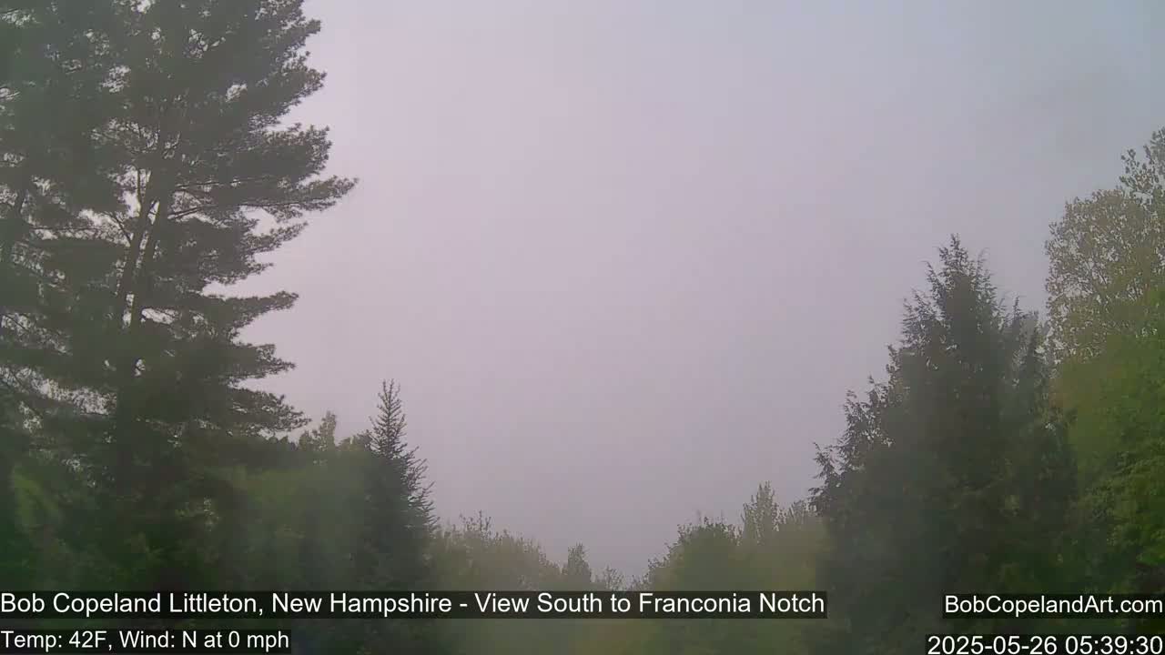 A foggy landscape shows evergreen trees and a hazy sky.