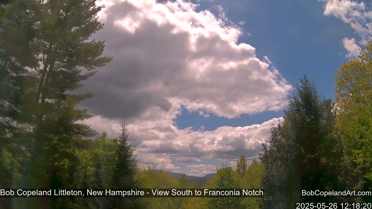A partly cloudy sky with fluffy white clouds against a blue sky is visible over a green forest.