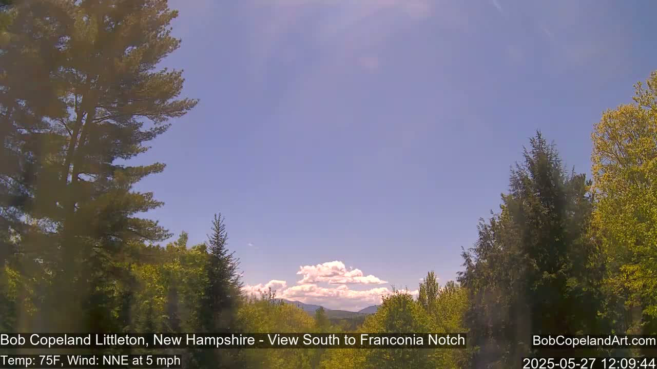 A mostly sunny sky with a few cumulus clouds over a distant mountain range, viewed from between green, leafy trees in a light breeze.