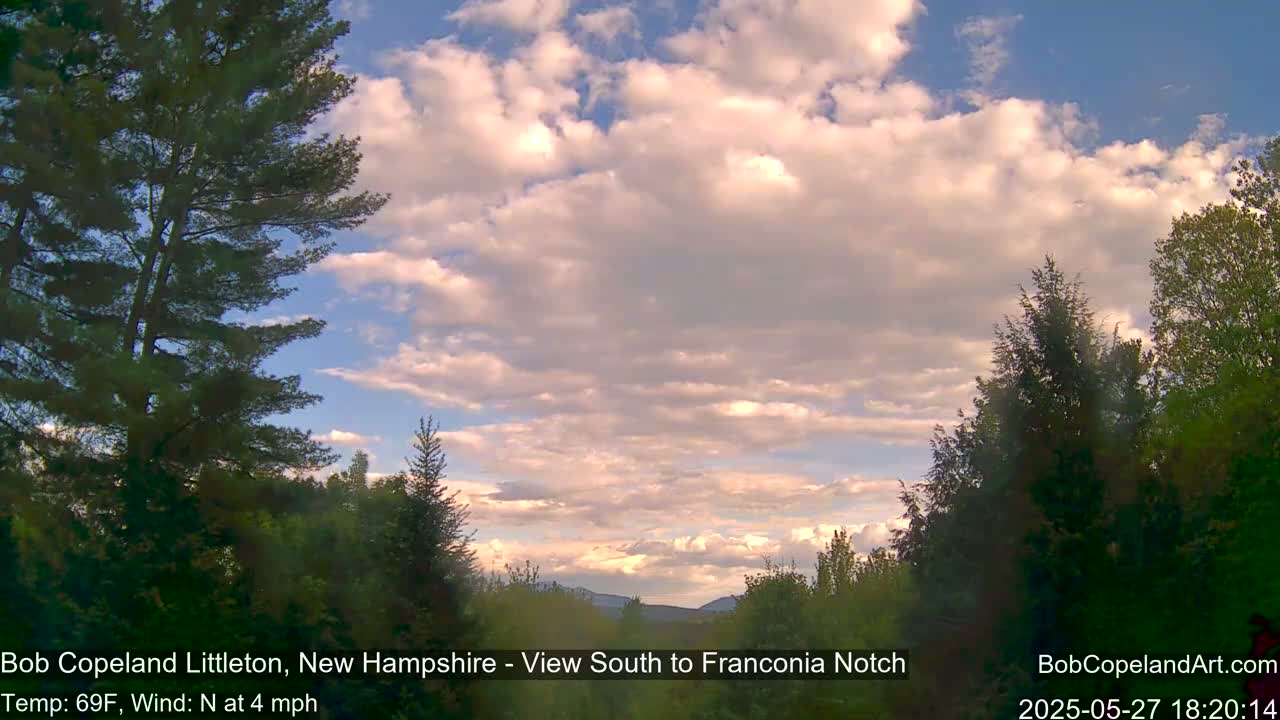 A partly cloudy sky with a light north wind is visible above a line of evergreen and deciduous trees.