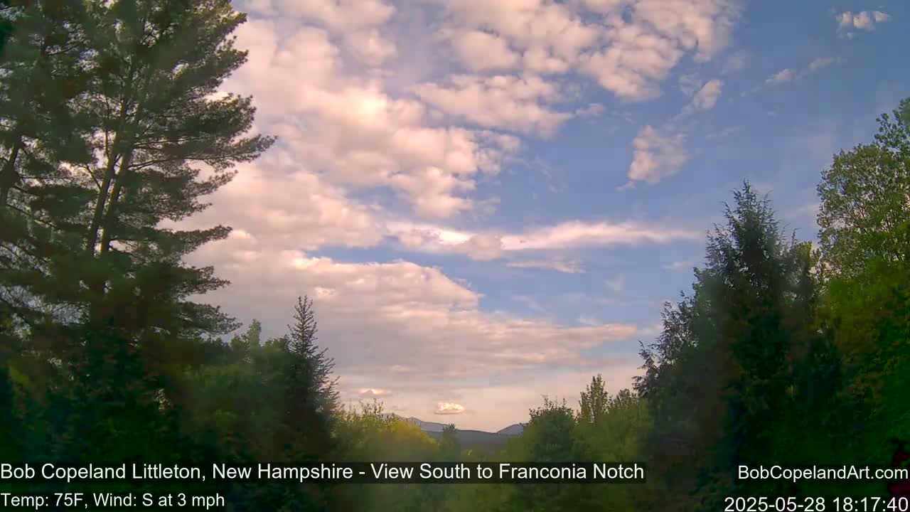 A partly cloudy sky with a light south wind, 75°F, is visible through a stand of evergreens.