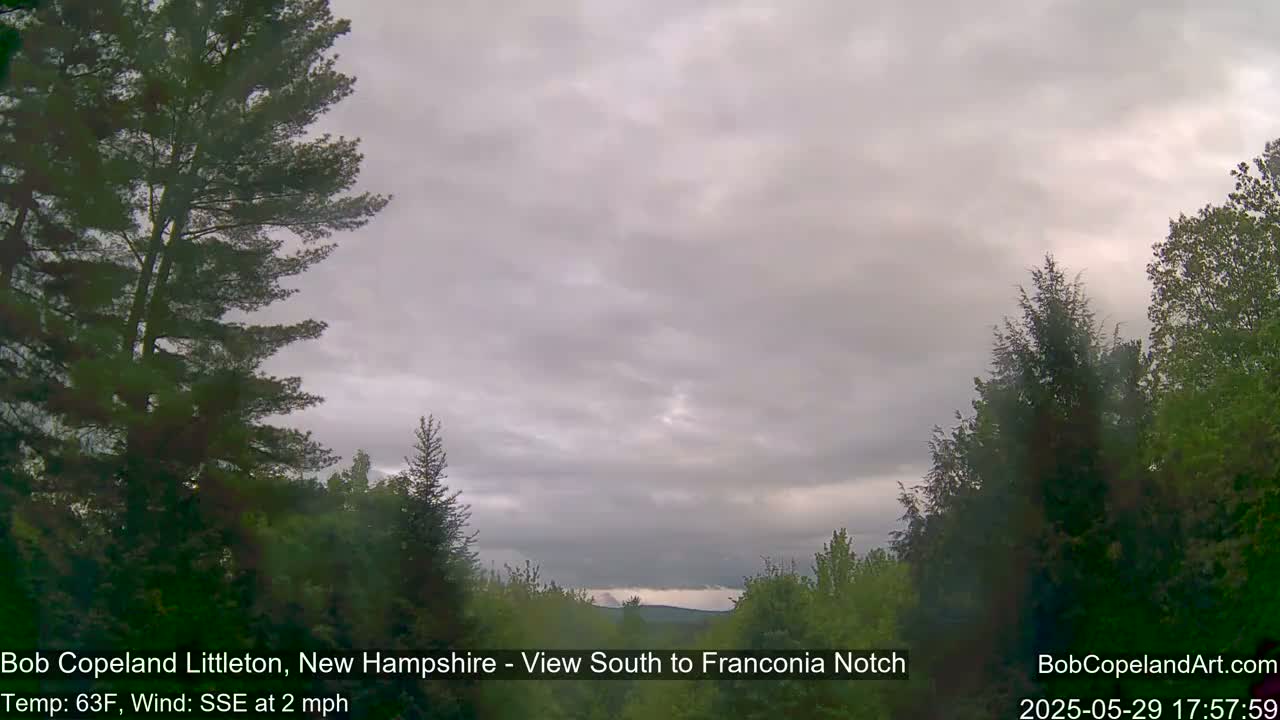A view of a partly cloudy sky over a forest of evergreens and deciduous trees.