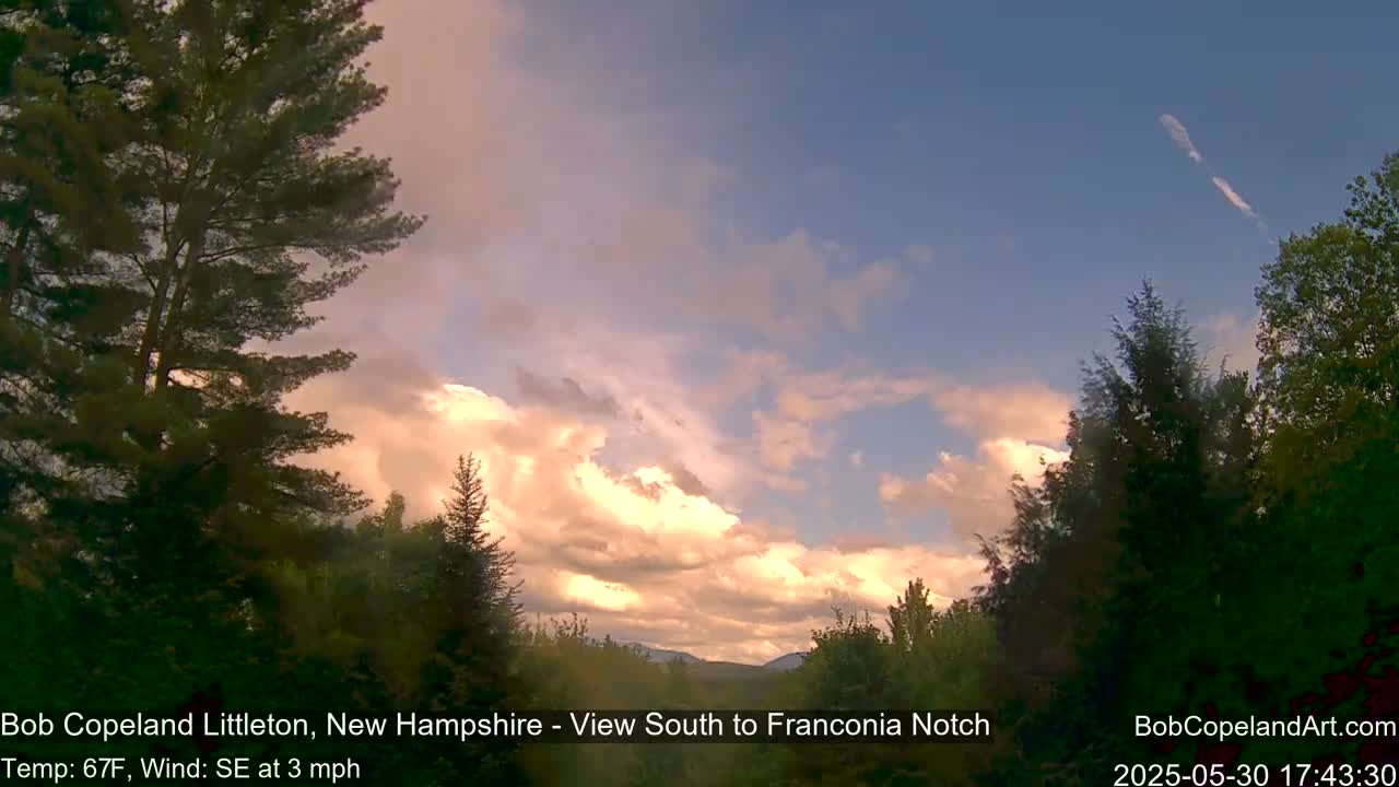 A partly cloudy sunset illuminates fluffy, pale clouds above a line of dark green evergreen trees.