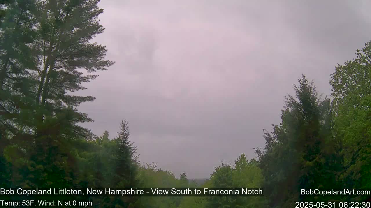 A view of a wooded area under an overcast, gray sky.