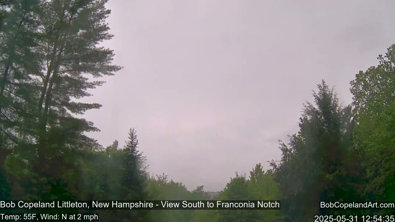 A view through trees shows an overcast sky on a cool day with a light north wind.