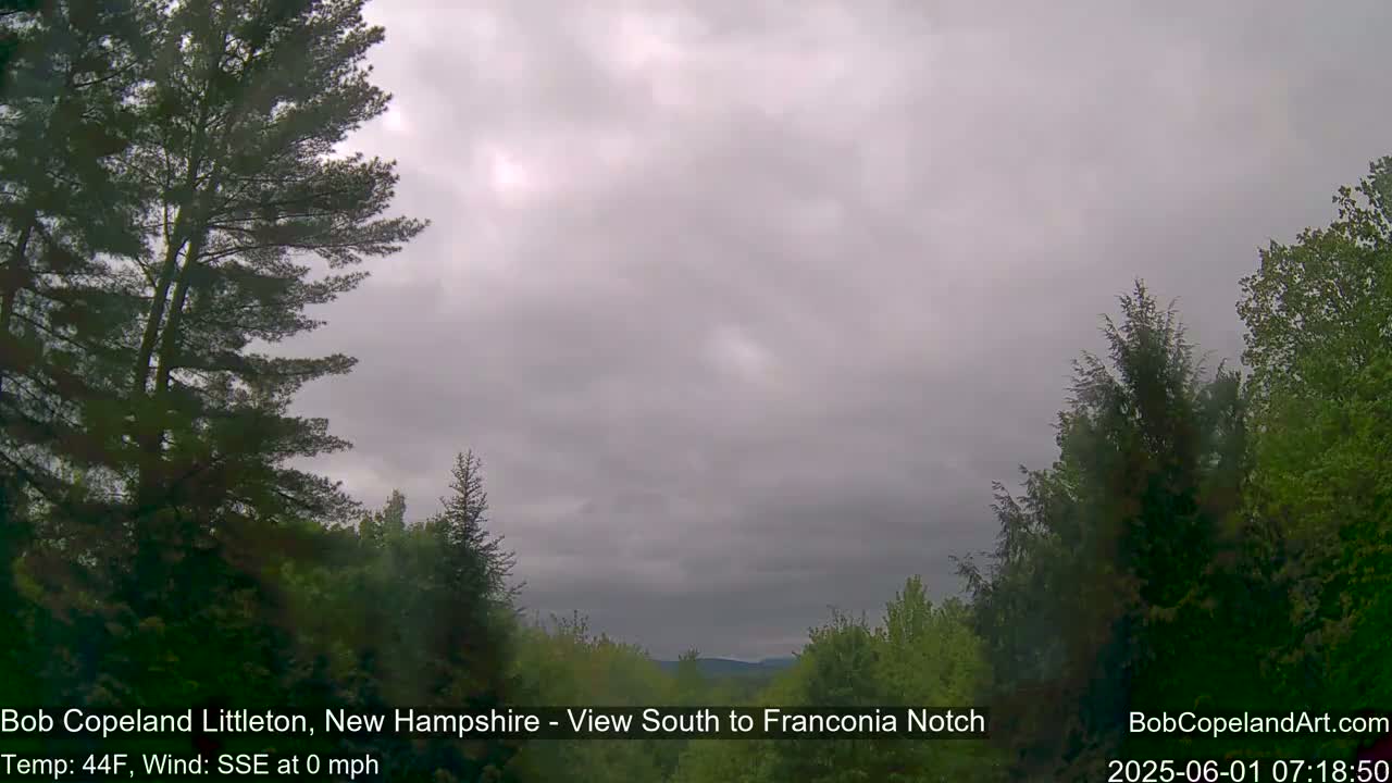 Overcast skies hang over a landscape of evergreens and deciduous trees.