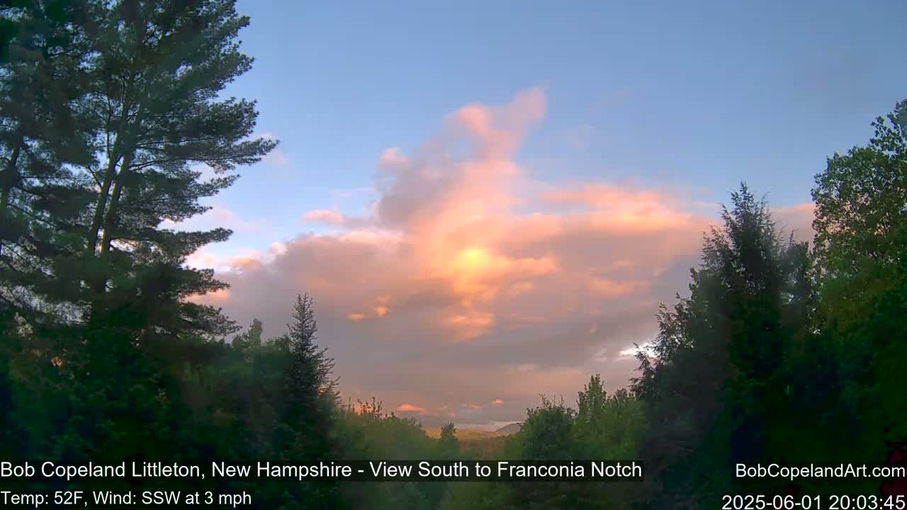 Pink and orange clouds fill a partly cloudy sky above a line of dark green trees at sunset.