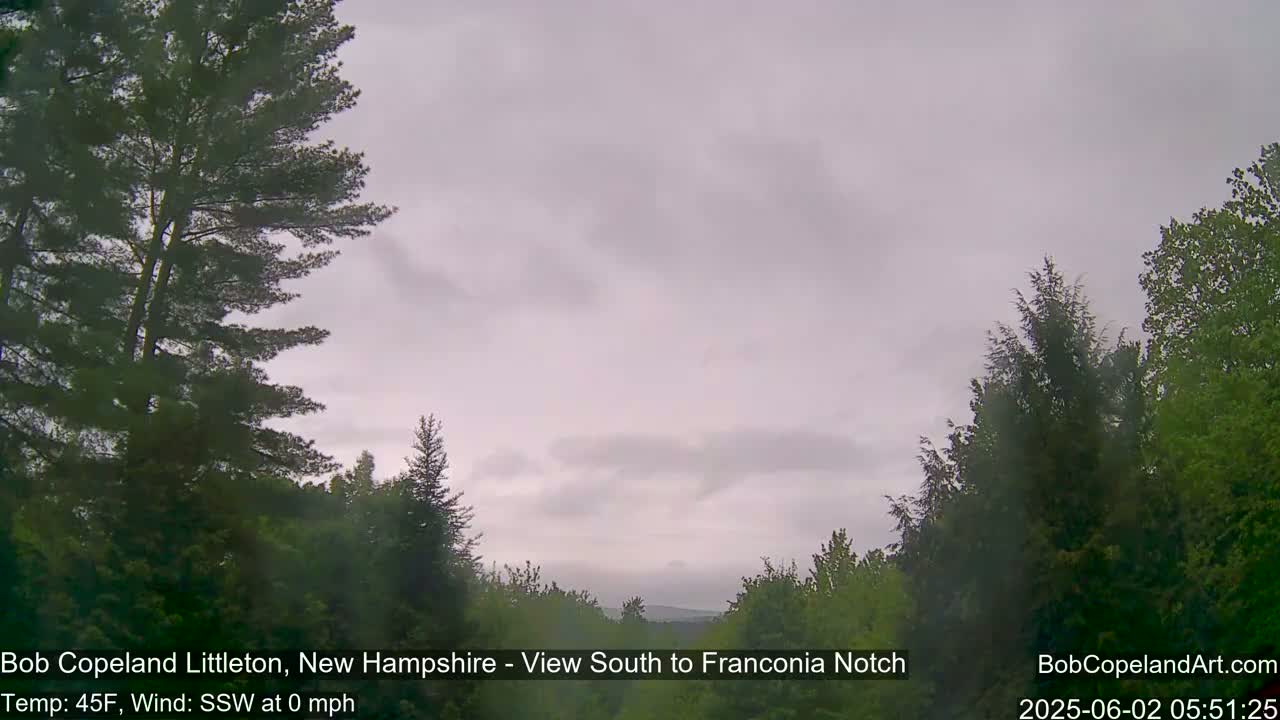 A view of a partly cloudy sky over a verdant forest.