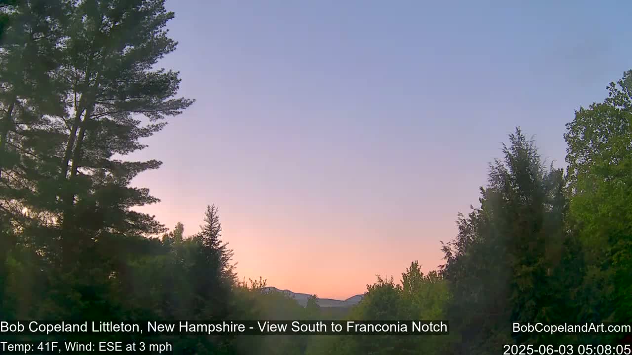 A sunrise with pale pink and orange hues illuminates the sky above a line of dark green trees.