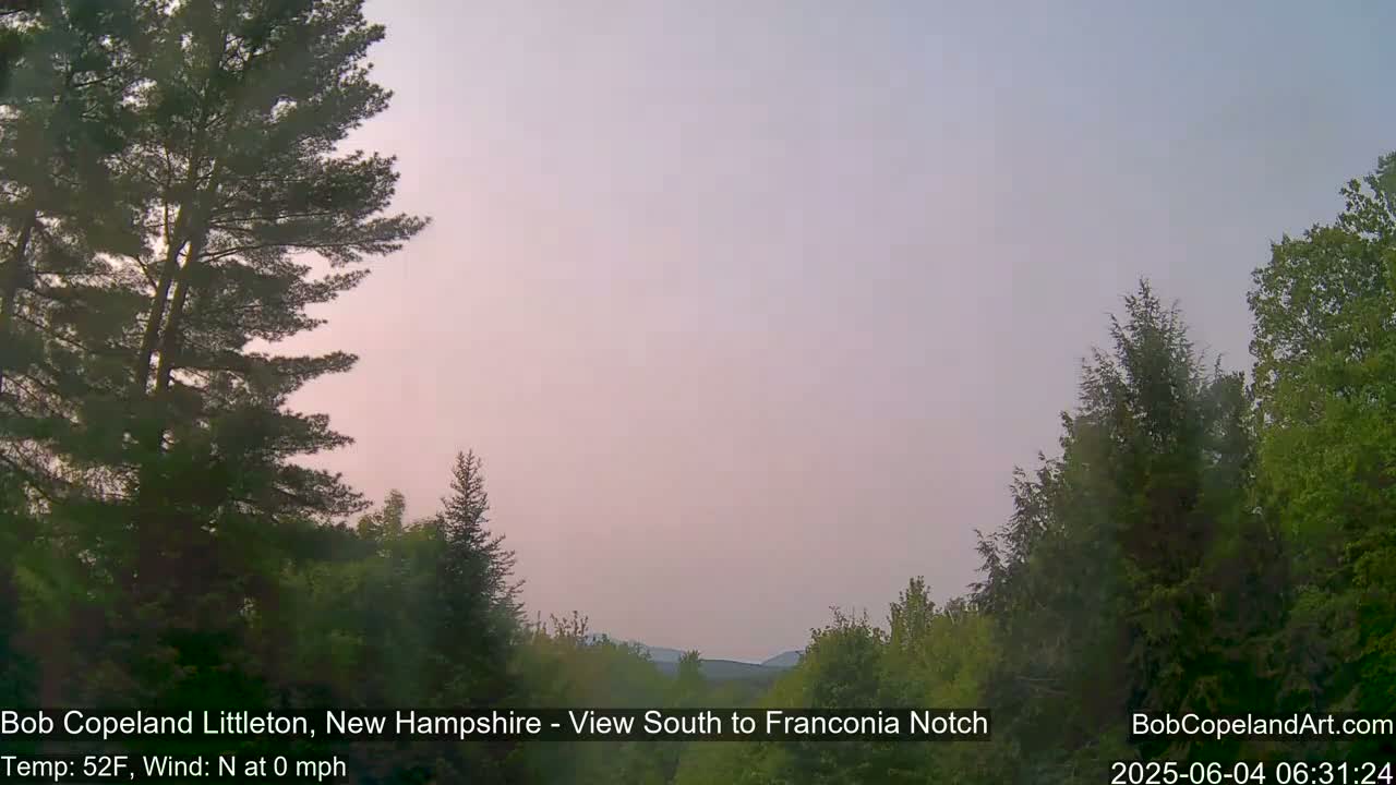 A hazy, pale-pink sunrise illuminates a landscape of dark green evergreens and distant, low-lying hills.