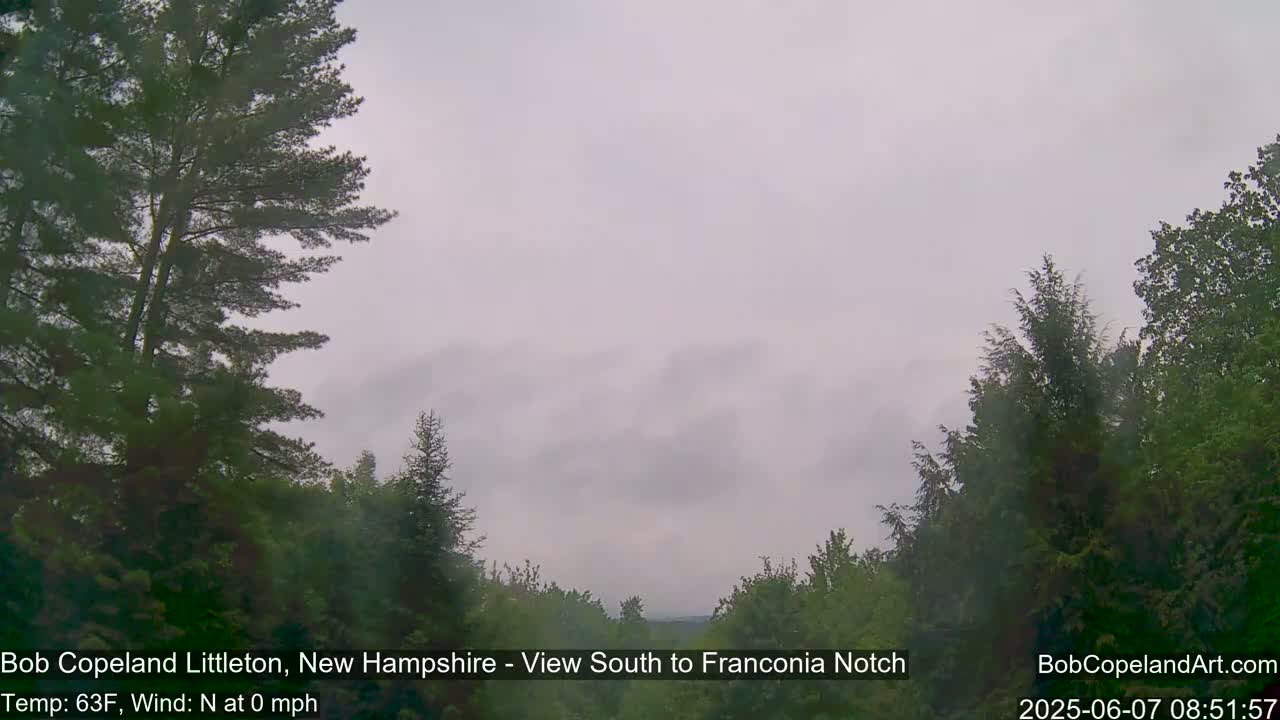 A view of a hazy, overcast sky over a line of green trees.