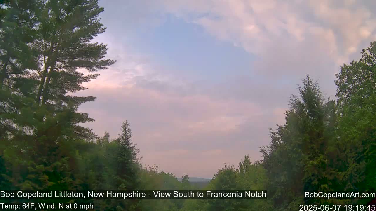 A mostly clear, pale pink and blue sky over a verdant forest.