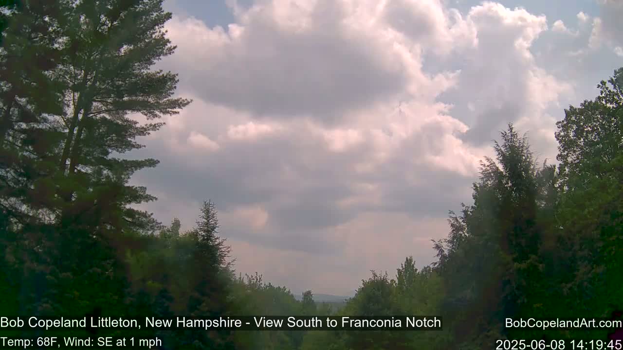 A partly cloudy sky over a landscape of green trees with a gentle southeast wind.
