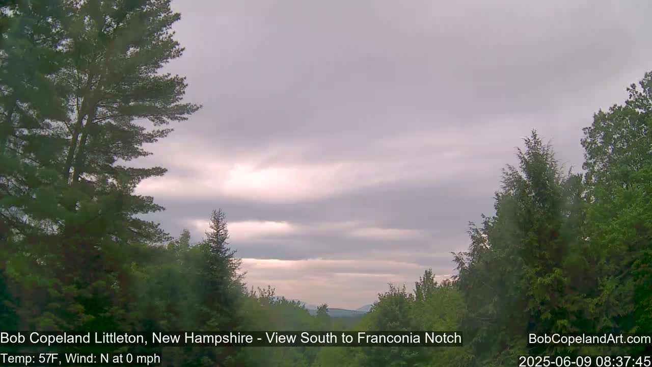 A partly cloudy, cool sky is visible between evergreen trees.