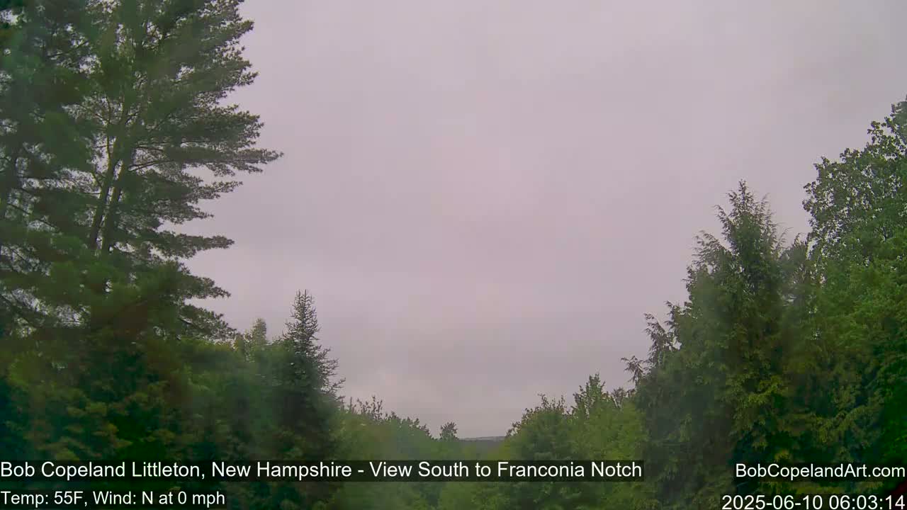 A view of a tree-lined landscape under an overcast sky.
