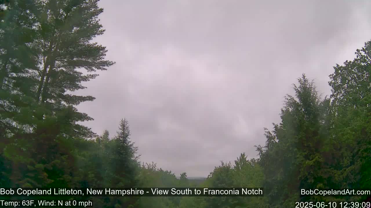 A view of a tree-lined landscape under an overcast sky.