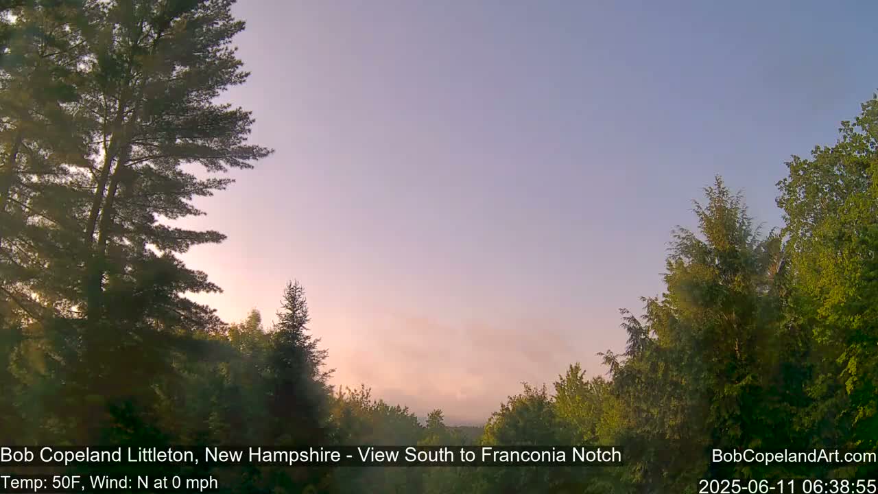 A calm, sunrise scene shows a hazy, pale-pink sky above a line of green trees.