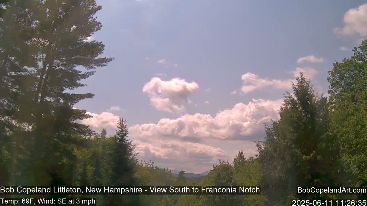 A partly cloudy sky with fluffy white clouds over a landscape of green evergreen and deciduous trees.