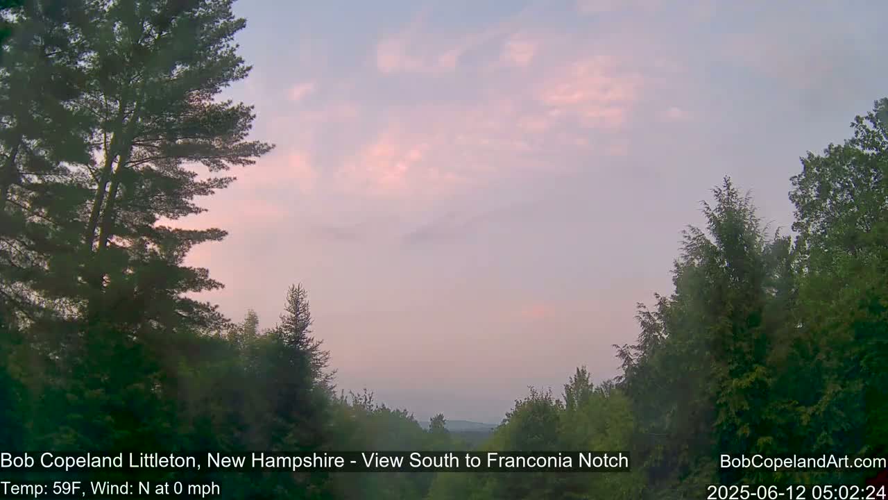 A hazy, pale pink sunrise over a landscape of evergreen and deciduous trees.