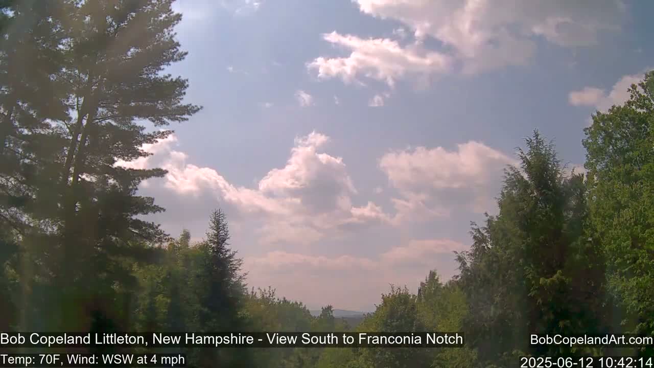 A partly cloudy, sunny sky is visible over a line of evergreen and deciduous trees.